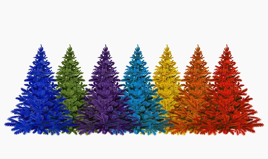 árvores de natal sortidas, natal, colorido, cores do arco-íris, advento, enfeites de árvore, árvore de natal, decoração, dezembro, celebração