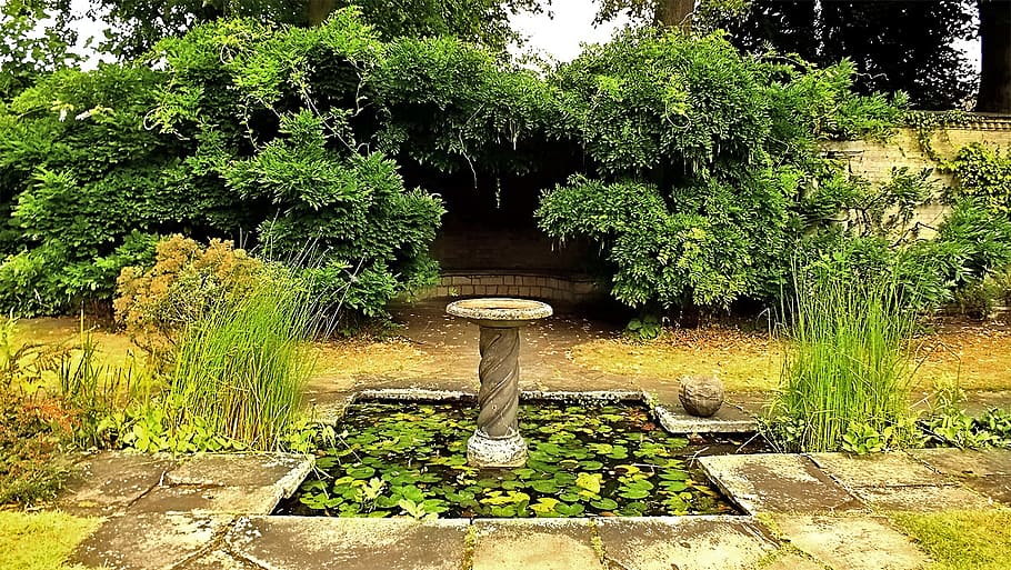 holiday garden, birdbath, pond, pool, tourism, natural, vacation, relaxation, peaceful, outdoor