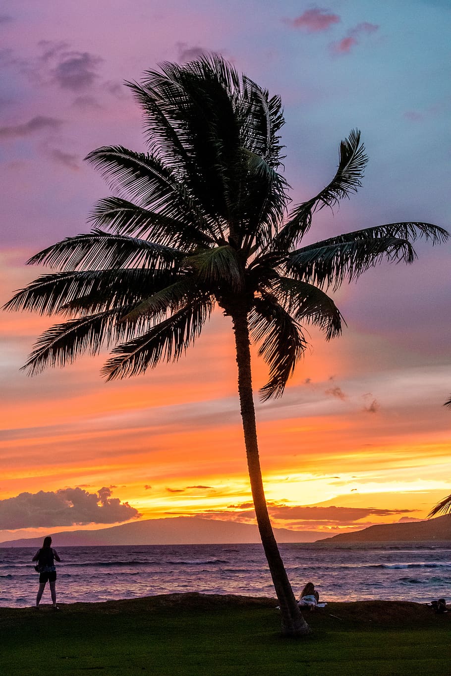 maui, hawaii, beach, landscape, nature, island, tropical, ocean, sunset, sky