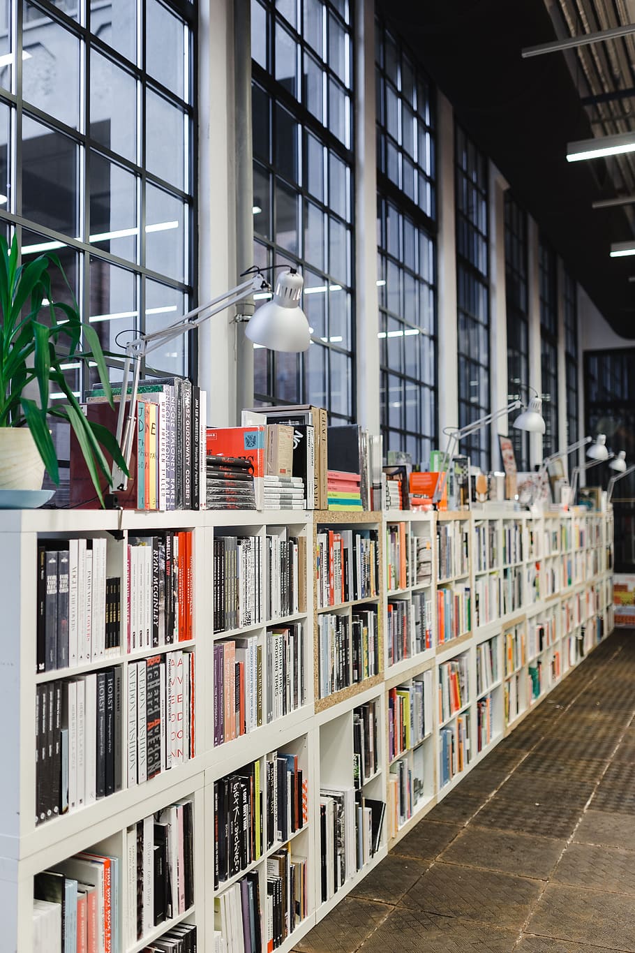 buku, toko buku, pengetahuan, kunjungan, rak, Book, publikasi, rak buku, dalam ruangan, Arsitektur
