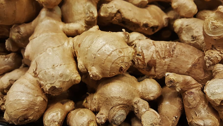 ginger lot, ginger, root, spice, herb, ingredient, seasoning, spicy, food, raw