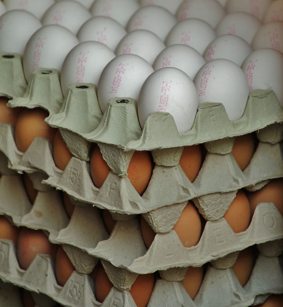 white, brown, egg lot, egg, egg carton, egg shells, hen's egg, chicken eggs, food, raw eggs