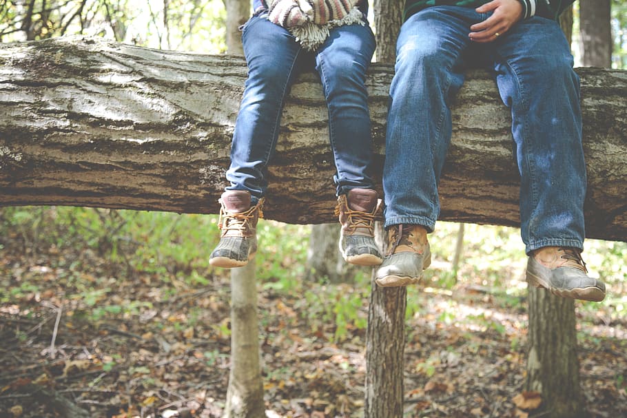 forest, woods, trees, log, nature, people, jeans, boots, outdoors, leaves