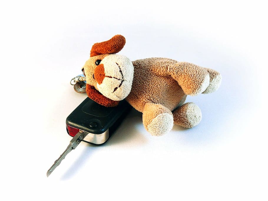 mobil, kunci, kasing, anjing, mainan, rumah, boneka mainan, boneka beruang, representasi, masa kanak-kanak
