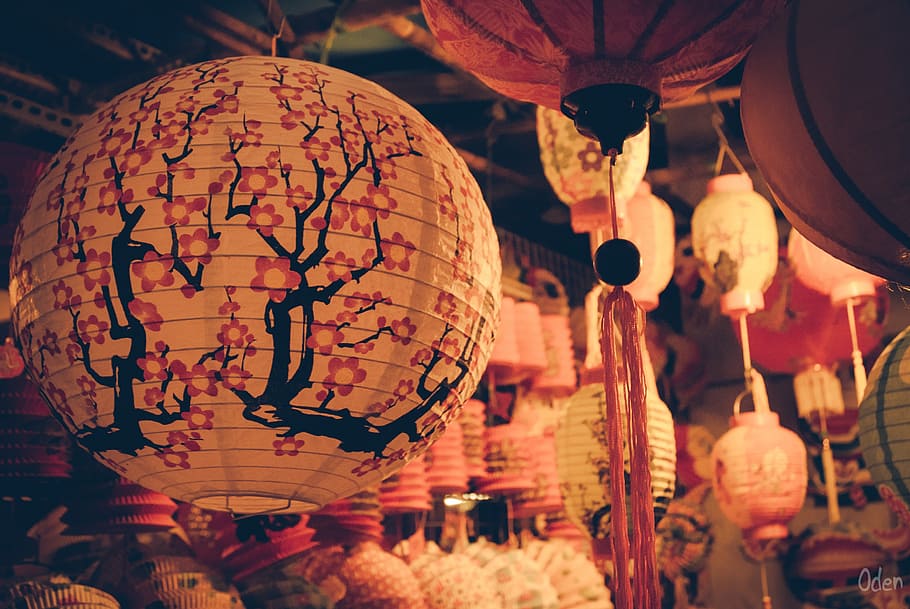 white, black, pink, floral, oil paper lanterns, mid autumn, festival, moon, holiday, vietnamese