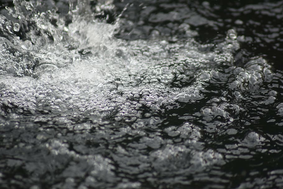 water, drop, drops, splash, moisture, wet, damp, source, selective focus, nature