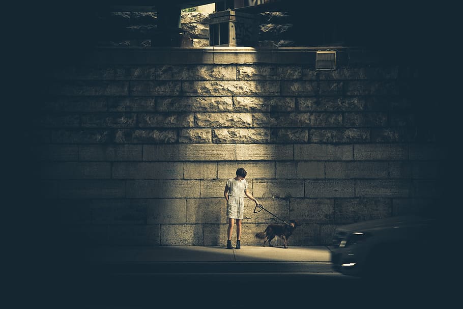 person, standing, front, concrete, wall, holding, dog, leash, along, side