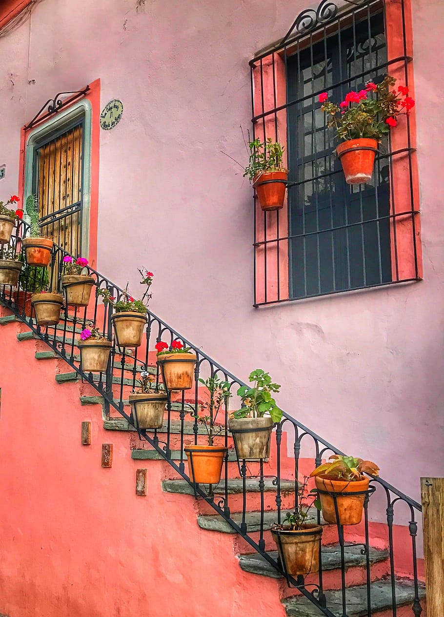 México, Guanajuato, ciudad, colorido, histórico, arquitectura, estructura construida, exterior del edificio, edificio, ventana