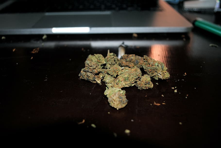 green, kush, laptop computer, marijuana, drugged, macbook, smoke, drug, healthcare and medicine, marijuana - herbal cannabis