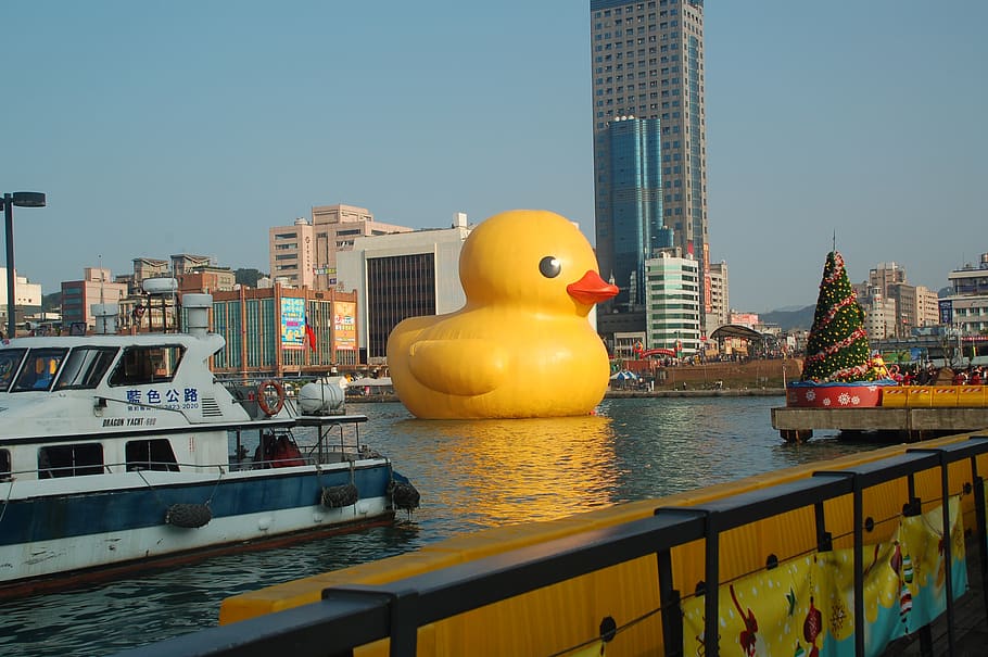 yellow, duckling, duck, swim, taiwan, architecture, built structure, building exterior, water, building