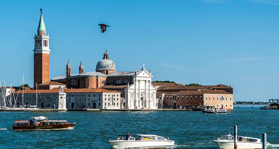 Venecia, Italia, ave voladora, canal, viajes, agua, italiano, turismo, veneciana, arquitectura