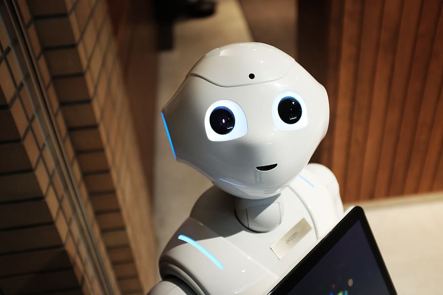 robot, teknologi, modern, putih, humanoid, dalam ruangan, representasi manusia, merapatkan, representasi, fokus pada latar depan
