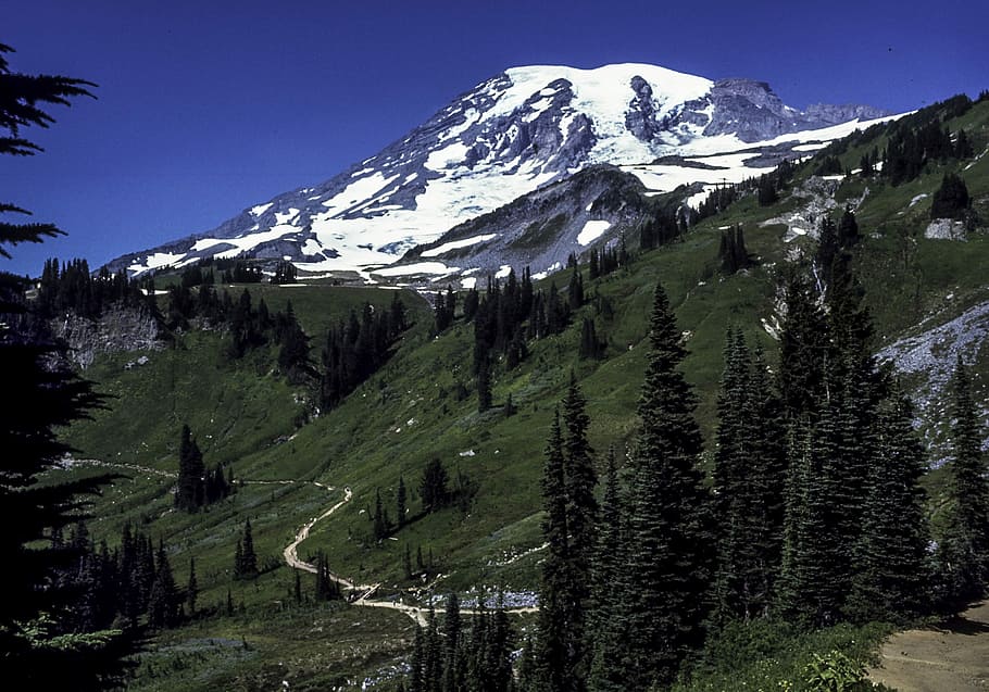 pico, monte, más lluvioso, nacional, parque, vista, Parque Nacional Monte Rainier, Washington, foto, montaña