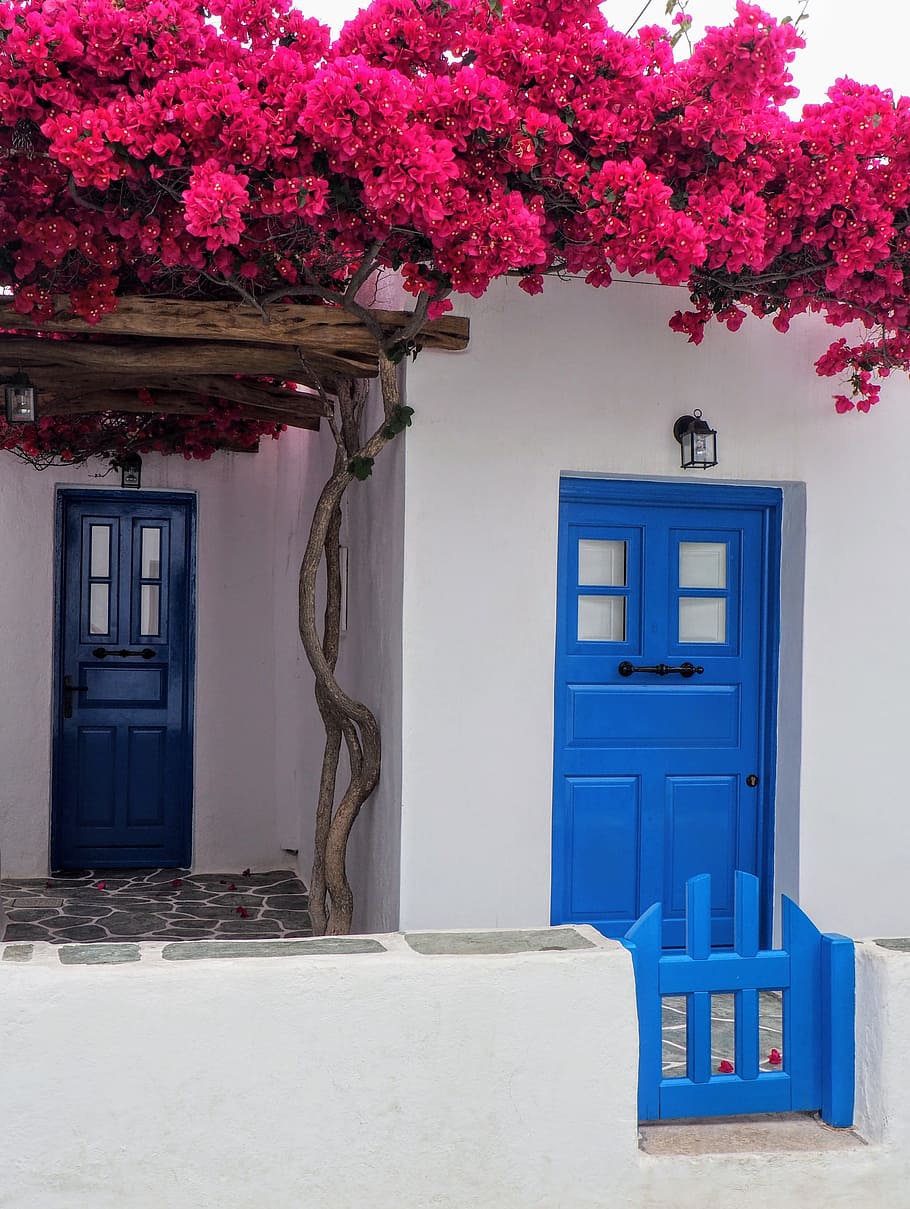 white, concrete, house, blue, wooden, doors, red, flowers, top, Greece