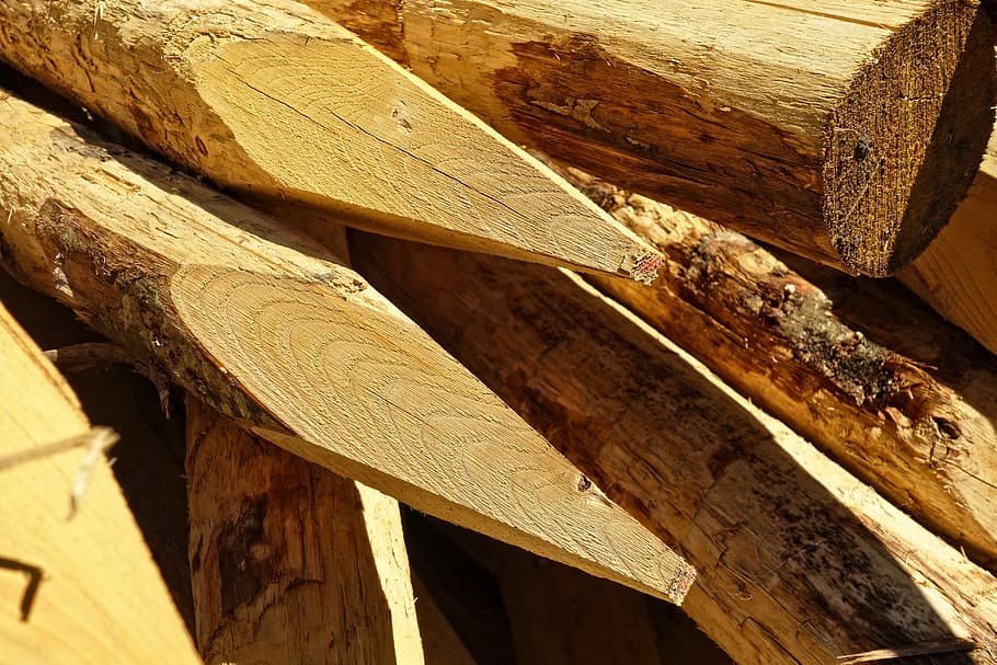 log, kayu, memotong, dipertajam, runcing, log dipertajam, ditumpuk, tumpukan, butir, tekstur