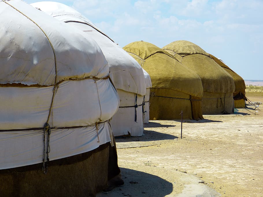 yurt, tent, residential structure, nomads, live, transportation, nature, sunlight, day, mode of transportation
