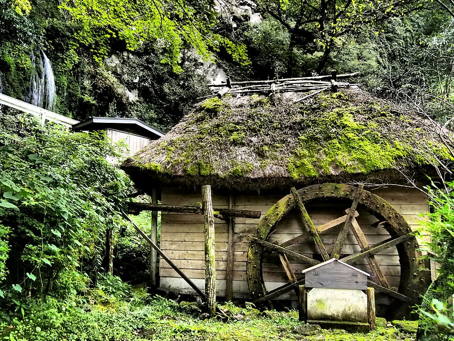 waterwheel, takachiho, japan, hut, built structure, plant, architecture, tree, green color, nature