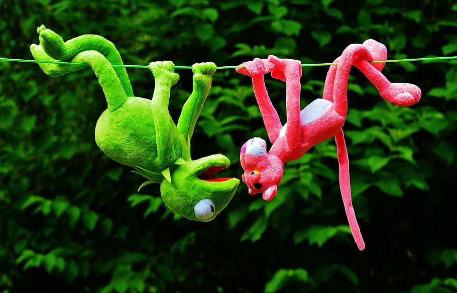 kermit, pantera hangup, verde, corda, rosa, sapo, sair, brinquedos de pelúcia, a pantera cor de rosa, brinquedos