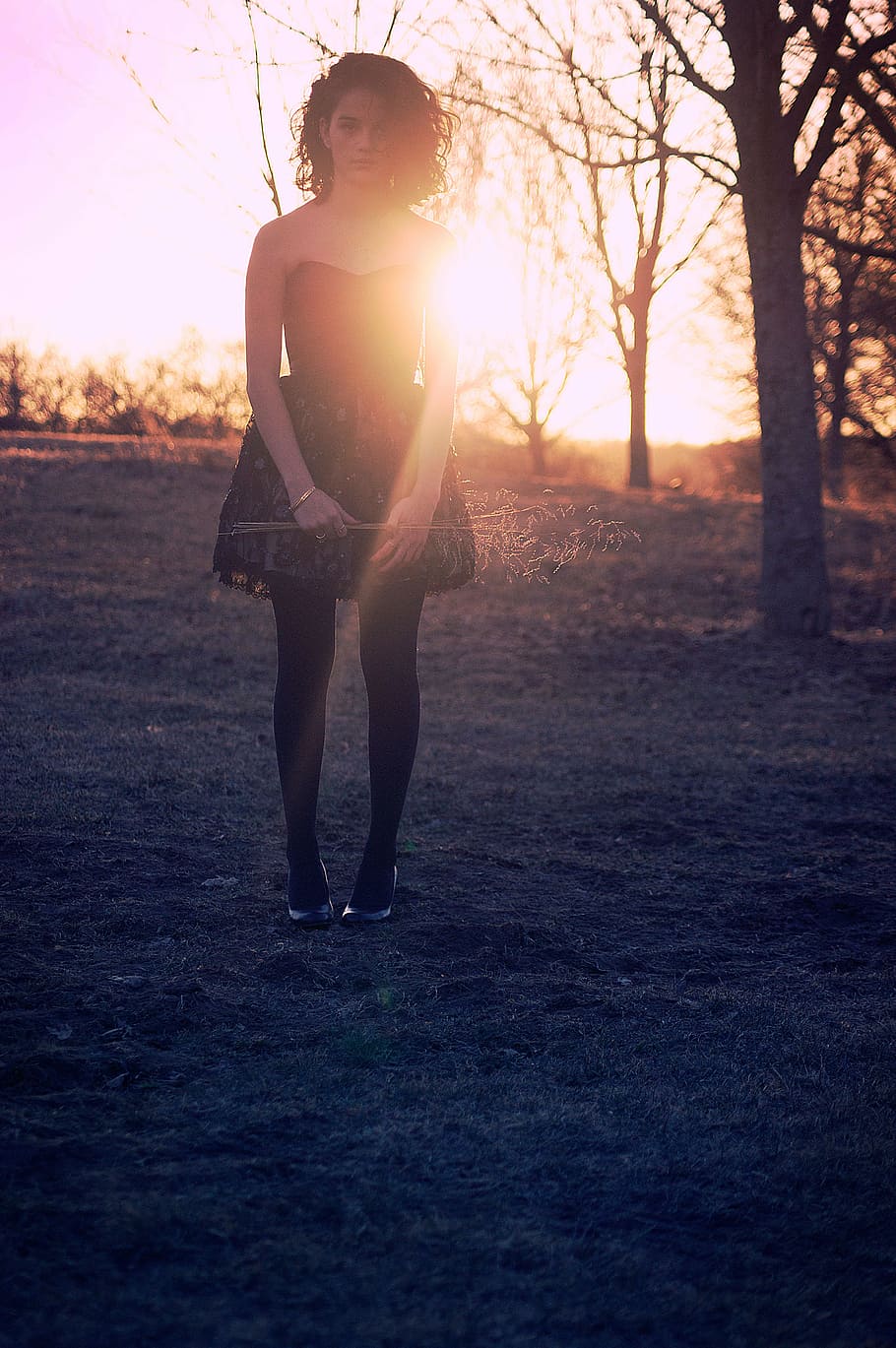 mulher, preto, vestido decote, em pé, nu, árvore, nascer do sol, luz do sol, luz solar, manhã
