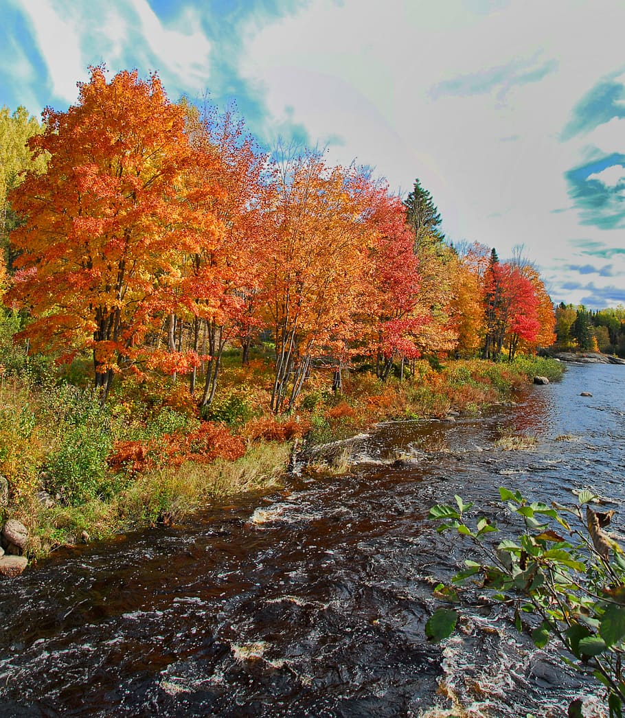 autumn, fall, colors, colours, canada, orange, nature, season, october, red