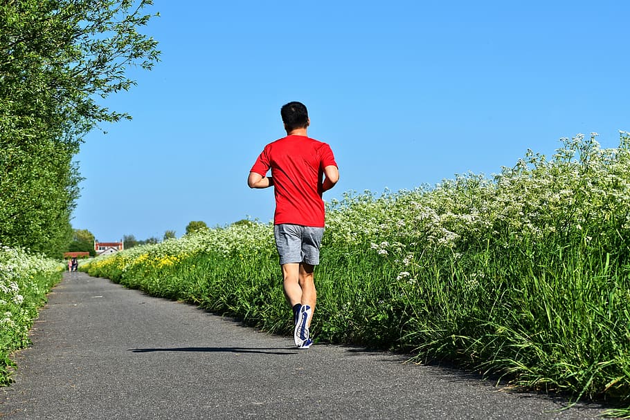 man jogging, pathway, grass plants, daytime, man, person, runner, alone, solitary, training