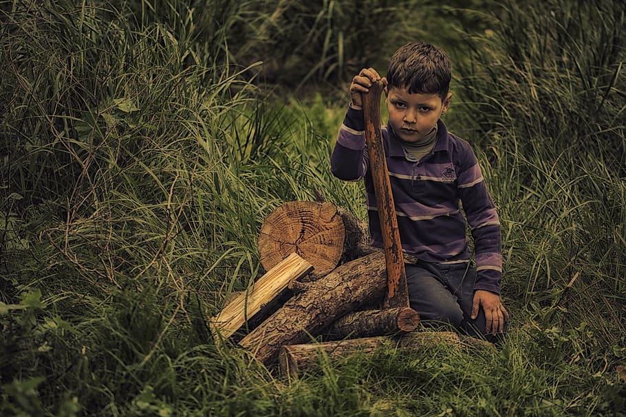 boy, wearing, purple, black, polo shirt, holding, brown, wood, child, work