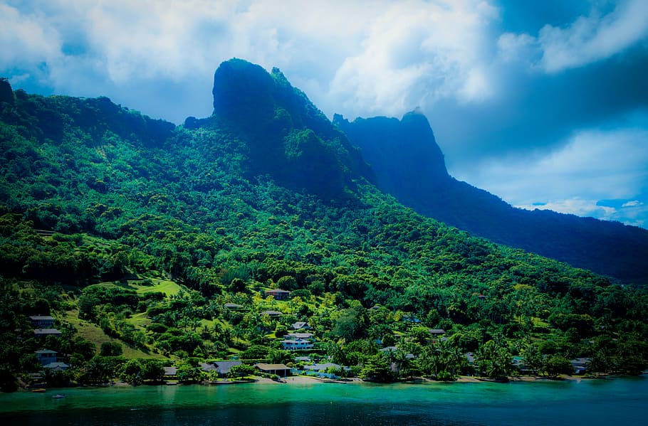 green, leafed, plants, covered, mountain, moorea, french polynesia, tropical, island, pacific