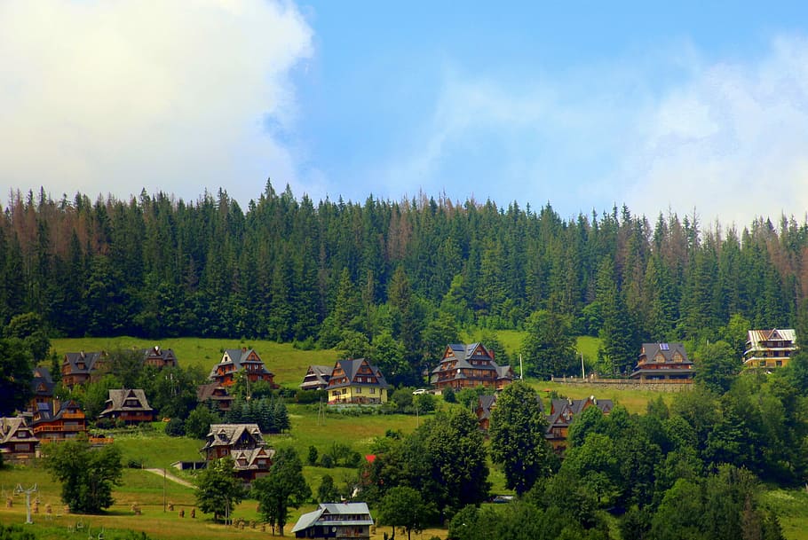 casas al lado de árboles, paisaje, montañas, paisaje de montaña, el escenario, naturaleza, panorama, colina, árbol, planta