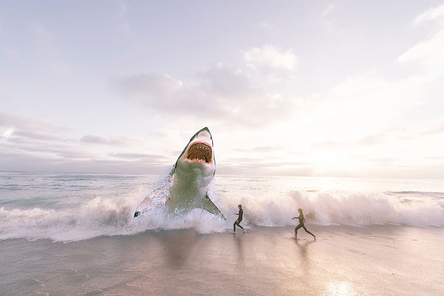 edited, great, white, shark, shore, front, two, people, running, sea