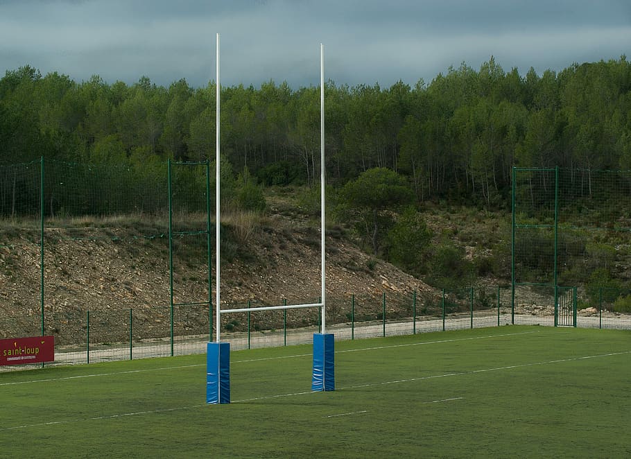 Rugby, Field, Poles, rugby field, testing, green color, sport, soccer field, grass, soccer