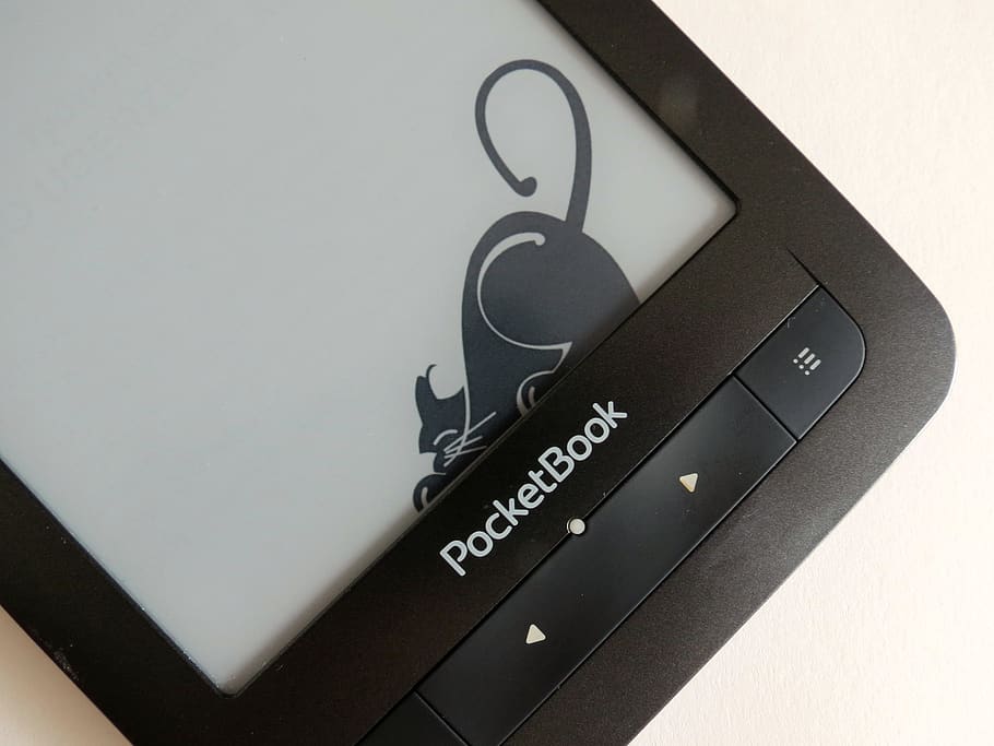 pocketbook, ebook, reader, cat, black, black and white, reading, book, ebboki, communication