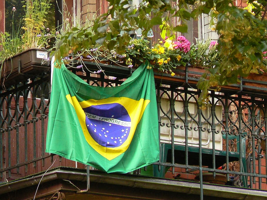 brasil, bandeira, varanda, patriotismo, planta, dia, orgulho, ninguém, emoção, arquitetura