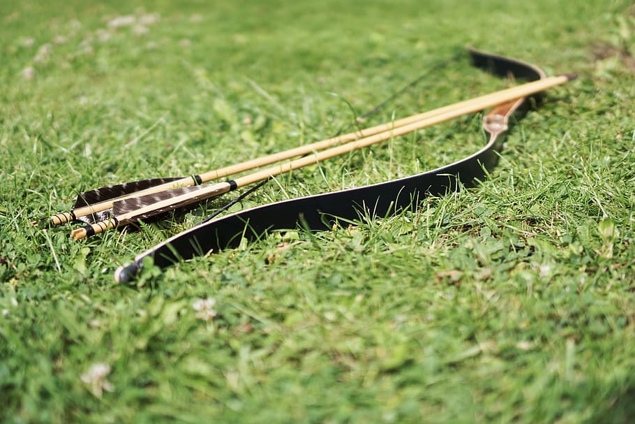 negro, arco compuesto, flechas, campo de hierba, durante el día, flecha, arco y flecha, tiro con arco, deportes, arco
