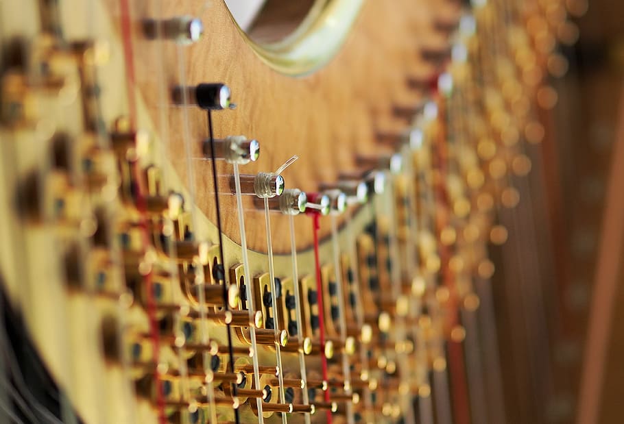 closeup, instrument strings, harp, string, tension, concert, classical, stringed, instrument, music