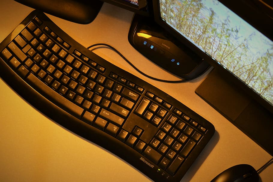 preto, teclado de computador, ao lado, mouse de computador, mesa, computador, monitor, mostrando, verde, folheado