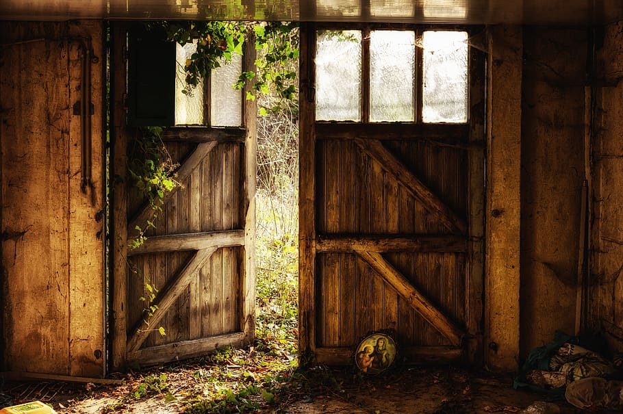 goal, door, input, gate, portal, wood, output, abandoned places, lost places, pfor