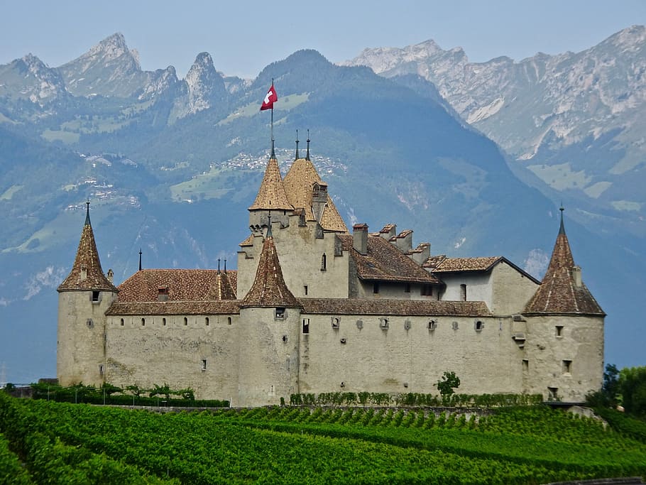 brown, castle, green, plants, across, mountain, stronghold, swiss, turrets, fort