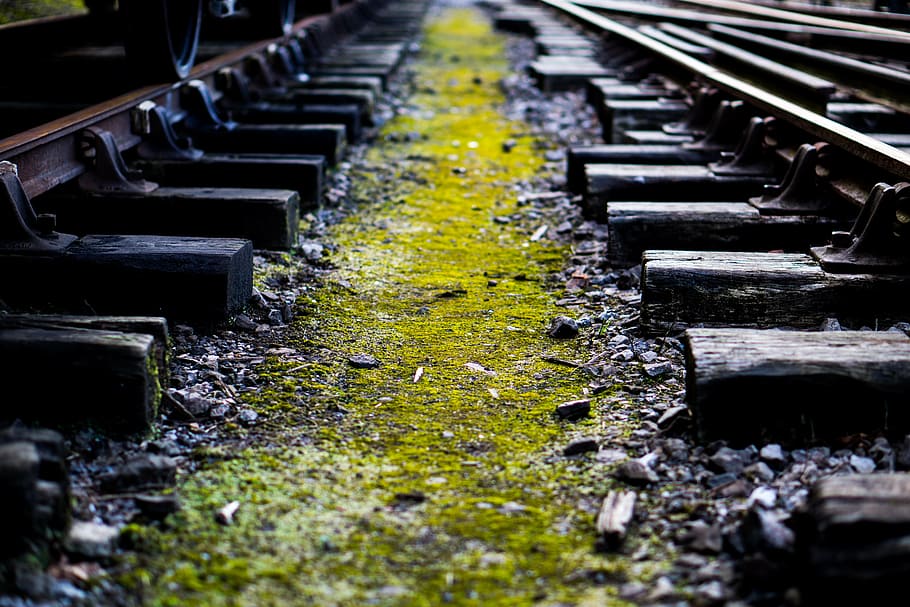 浅い, フォーカス写真, 緑, 茶色, 列車の線路, 列車, 鉄道, 線路, 古い, 苔