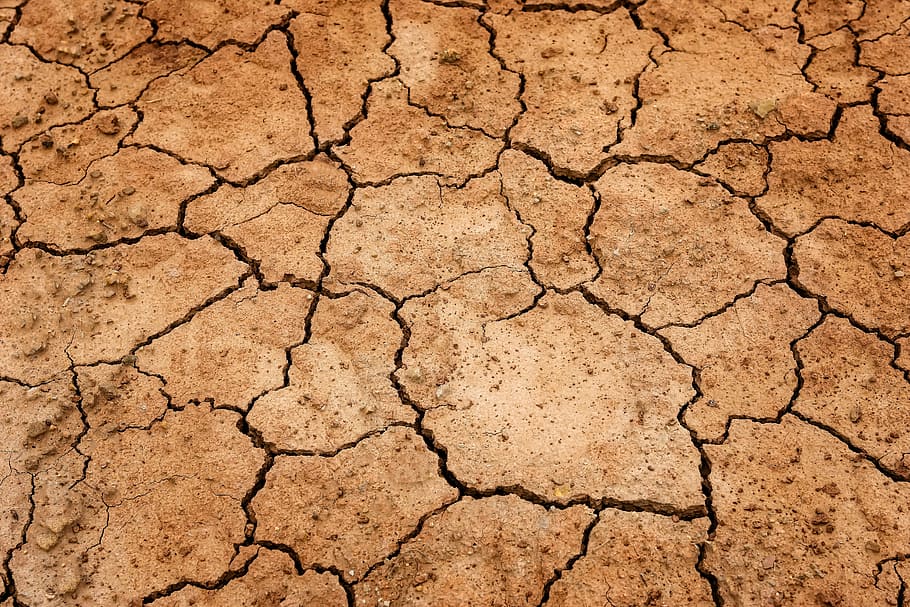 エルニーニョ土壌, 地球, 地面, 干ばつ, 脱水, ひび割れ, 自然, 枯れた地球, 乾燥土壌, 構造