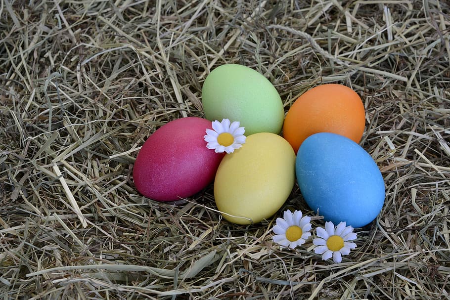 five easter eggs, five, easter eggs, easter, egg, decoration, easter decoration, happy easter, colorful, colorful eggs