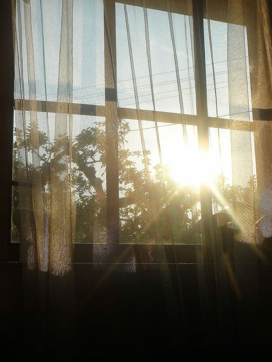 窓, 朝, 夜明け, 太陽, 日光, 太陽光線, レンズフレア, カーテン, 自然, 空