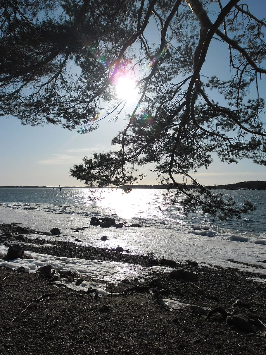 Finlandia, sol, mar, árbol, paisaje, agua, playa, rayo de sol, luz solar, cielo