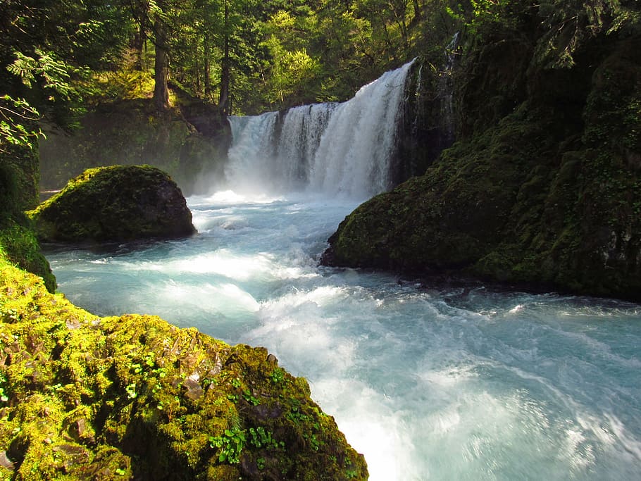 Spirit Falls, WA, waterfalss between trees, water, scenics - nature, beauty in nature, waterfall, tree, flowing water, motion