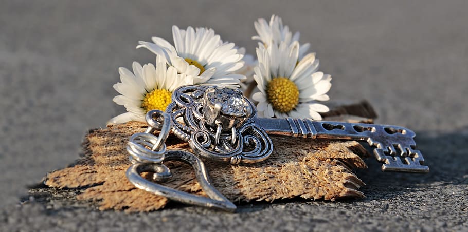 silver-colored skeleton, key, accessory, white, flowers, heart, daisy, love, wood, valentine's day