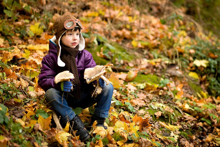 chico, sentado, suelo, cubierto, hojas, otoño, gorra, chaqueta, bebé, parque
