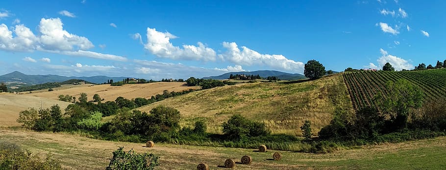 italy, tuscany, fields, panorama, hay bales, clouds, sky, landscape, summer, environment