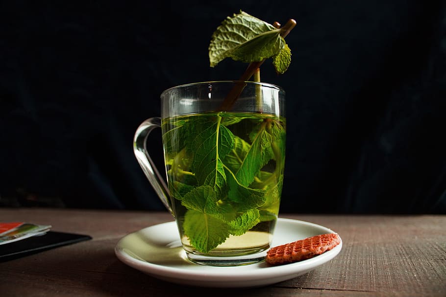 teh hijau, hijau, tee, alam, daun teh, teh herbal, makanan dan minuman, minuman, daun, penyegaran
