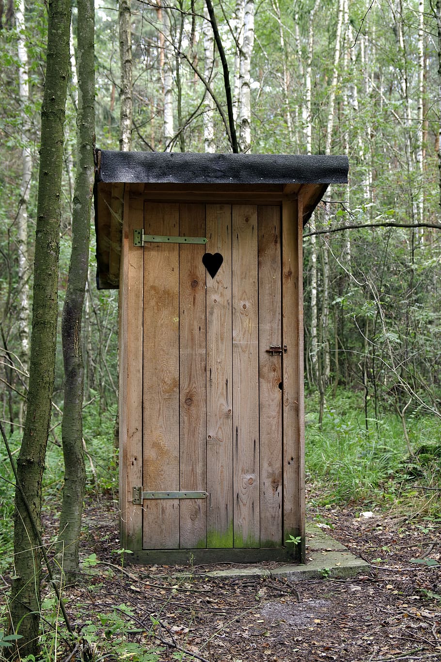 toilet, barang, wygódka, gudang, jamban, toilet portabel, kayu, hutan, leśna, pohon
