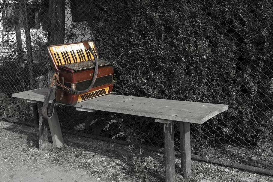 brown, black, accordion, bench, alone, music, instrument, musical, key, sound