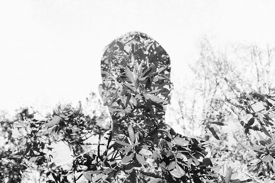 people, man, camera, effect, double exposure, leaves, nature, landscape, black and white, plant